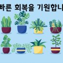 맘앤차일드소아청소년과의원 티스토리