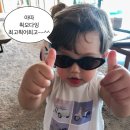 구산면530 | 리코 gr3 hdf 작례 모음 인물 작례, 일상부터 여행까지