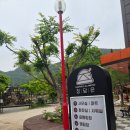 아름다운글램핑장 | 전주 근교 글램핑장 재방문 의사 100%! 장성 정담은캠핑장 내돈내산 후기
