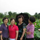 대평초교 이미지