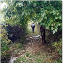 상전면사무소 이미지