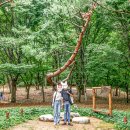 고플랙스 코인노래연습장 이미지