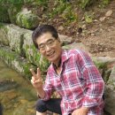 카나이스 이미지