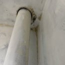 GS25진주가호점 | 진주입주청소 벽지와 근처 곰팡이까지!!?