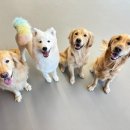 개린이보호구역 이미지