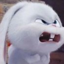 Yellow GYM 이미지