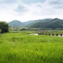 정양늪생명길 이미지