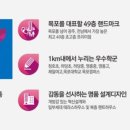 목포제일여자고등학교 이미지