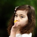 숲속의작은스튜디오 이미지