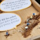 2023 서울 국제도서전 후기 / 코엑스 A홀 &amp; B홀