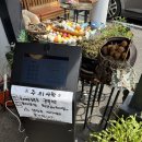 건강한새싹어린이집 | 도토리정원 : 파주 헤이리 맛집, 도토리 한정식 후기
