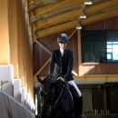 아우츠 | 나무 승마 연대기4 - 승마장비 준비하기 (기초편)