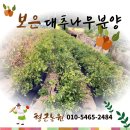 형근농원 이미지