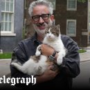 MY DOG GROOMING 이미지