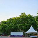 예안면 주진리(주진교) 이미지