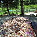 가우농장 이미지