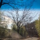 동물원1번 | 울산 산 속에서 힐링하기 좋은 산뷰 저수지뷰 울산 글램핑 힐링빌리지 글램핑 1번 자리 사용 후기