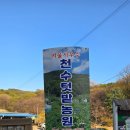 천수텃밭농원 네이버블로그