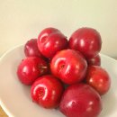 샘골농장 | 믿고먹는 복숭아 농장 샘골농부네 아묻따 패키지🍑