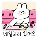 제니스네일1호 이미지
