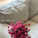 왕발슈즈 이미지