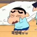 큐브엔터테인먼트 카카오 검색결과