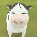 치챠 | ◌𓈒🎏𓂃 𓈒𓏸◌‬゜