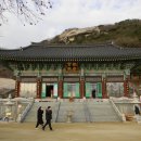 드봉장 | 석모도 낙가산 보문사 ① 극락보전, 오백나한전, 은행나무, 418계단