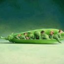 밥&밥