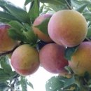 상생농장 이미지