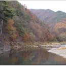 금봉이용소 이미지