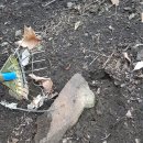 귀산 농장 이미지