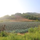 충주댐주유소 이미지