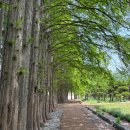 H드라이브호텔 | [전북 익산 여행] "익산에 이런 곳이?" 현지인도 줄 서는 익산 가볼만한곳 &amp; 로컬 맛집 완벽 정리