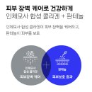 참존제주 | 아이오페 레티놀 엑스퍼트 링클 코덱터, 처음 써보는 입장에서 정리해본 기준