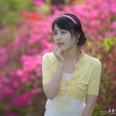 봄:하루 이미지