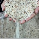 구평농장 이미지