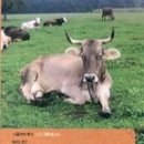 생명나무도서관 이미지