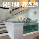 대전 옹달샘 키즈풀 키즈카페 아이랑 실내 가볼만한 곳