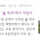 능수어린이집 이미지