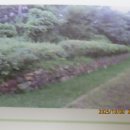 성산패총로 이미지