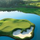 파인비치 이미지