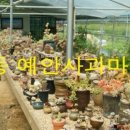 예안농장 이미지