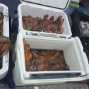 비봉체육공원 야구장 이미지