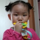 단비네찬 이미지