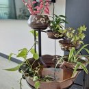 봉명농장 이미지