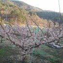 희현농장 이미지