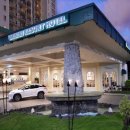 호텔하와이 이미지