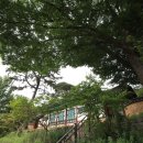 무양공원 이미지