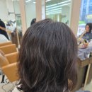 살롱드푸즈 이미지